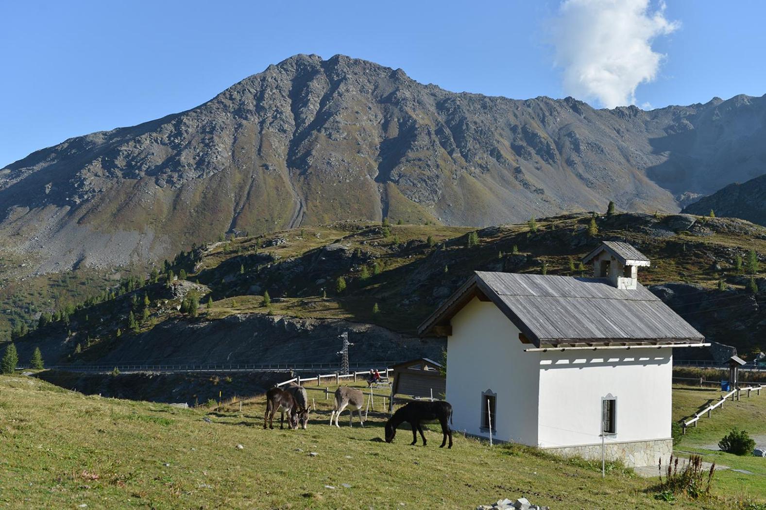 Hotel Interalpen Isolaccia Exterior photo